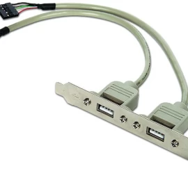Gembird 2x Usb Lizdas Ant Sekimo Pulto