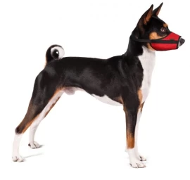 GF Antsnukis VET dydis XL (raudonas) (Veterinarinis), KA/WET/5(XL)