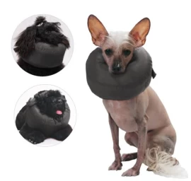 GF Pooperacinė apykaklė dydis XXL 47-65cm, WET/K/6(XXL)