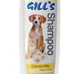 GILL&#039;S CAMOMILLA šampūnas (su ramunėlių ekstraktu) 200ml (6), C3052849