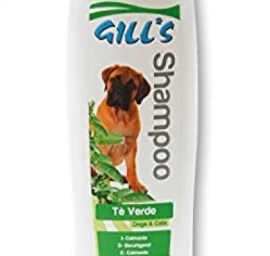 GILL&#039;S GEEN TEA šampūnas (su žaliosios arbatos ekstraktu) 200ml (6), C3052997