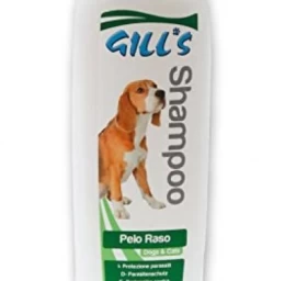 GILL&#039;S RAZZE PELO RASO šampūnas (trumpaplaukiams) 200ml (6), C3052993