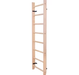 Gimnastikos Kopėčios Benchk 100