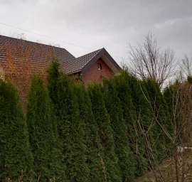 Šlaitinių Stogų Dengimas Klaipėdoje