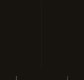 Indukcinė Kaitlentė Mpm Mpm 30-im-09