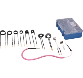 Indukcinių ričių komplektas BGS Technic 2169-11 | 12VNT.