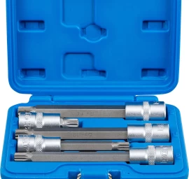 Įpresuotų antgalių rinkinys | 12,5 mm (1/2) | Spline (XZN) | 5 vnt. (8449)
