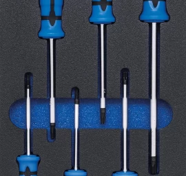 Įrankių dėklas 1/3: T-Star atsuktuvai (Torx) | 6 vnt. (4078)