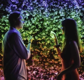 Išmani 1mx2.1m lempučių užuolaida TWINKLY