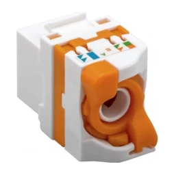 Iwp-md C6/urott