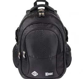 Jaunimo Mokyklinė Kuprinė 4 Skyriai Snake #cz