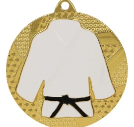 Judo/karatė Aukso Medalis