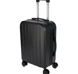 Kabinos Kelioninis Krepšys 38l Proworld Black