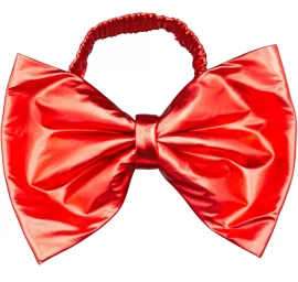 Kėdės Lankas 50x34cm