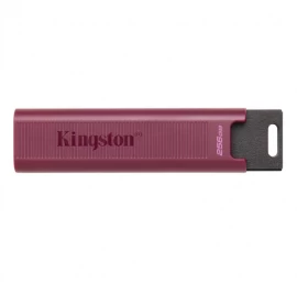 Kingston Dtmaxa/1tb flash Atmintinė (1tb / Violetinė )