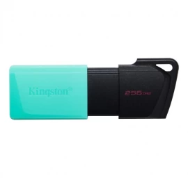 Kingston Dtxm/256gb (256 Gb /mint Black )