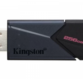 Kingston Dtxon/256gb Flash Diskas (256 Gb / Juodas )