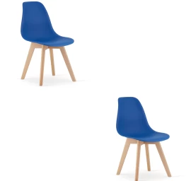 Kito Kėdė Mėlyna / Natūralios Kojos X 2
