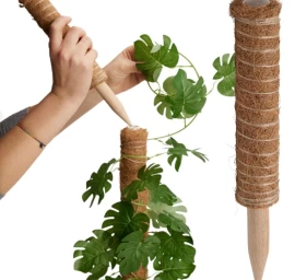 Kokoso Augalo Atrama 30 Cm Progarden