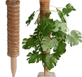 Kokosų Augalų Atrama 50 Cm Progarden