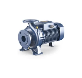 Konsolinis siurblys Pedrollo F 65/250B 380V