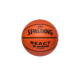 KREPŠINIO KAMUOLYS SPALDING REACT TF-250 (DYDIS 7)