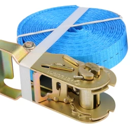 Krovinio tvirtinimo diržas 1000DAN 1 vnt 4 m x 25 mm (82343)