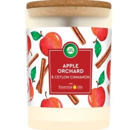 Kvapioji žvakė Air Wick Essential Oils Apple Orchard &amp;amp; Cinnamon