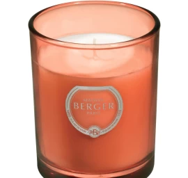 Kvapioji žvakė Maison Berger OLYMPE Exquisite Sparkle, 180 g