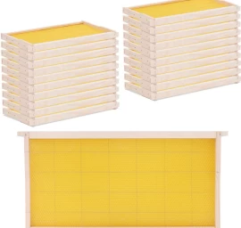 Langstroth Pušies Avilio Rėmas Su žarnomis 232 Mm - 20 Vnt.