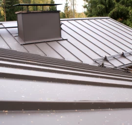 Plieninė Ruukki stogo danga Classic