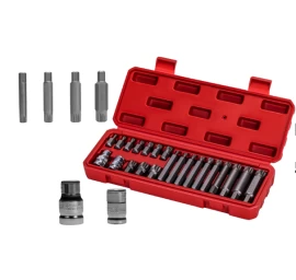 M4-M18 SPLINE antgalių rinkinys, 22 vnt. KD10539