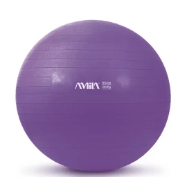 Mankštos kamuolys AMILA GYM BALL (55cm)