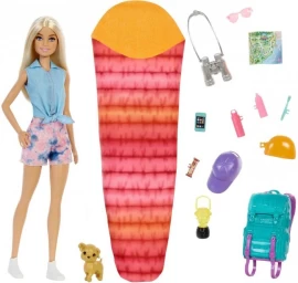 Mattel Hdf73 Barbie Malibu Camping Doll