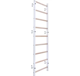 Medinės-metalinės Gimnastikos Kopėčios Benchk 700w