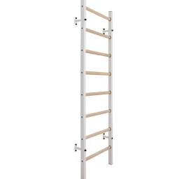 Medinės-metalinės Gimnastikos Kopėčios Su 4 Rankenomis Benchk 200w