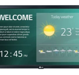 Monitorius Lg 22sm3g (21,5&amp;quot; /ips /60hz /1920 X 1080 / Juodas )