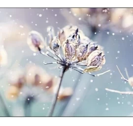 Monitorius Samsung Lh46vmbubgbxen (46&amp;quot; /ips /60hz /1920 X 1080 / Juodos Spalvos )