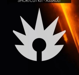 Ms Esd C2c X1 Battlefield 1 Shortcut Kit Assault Bund