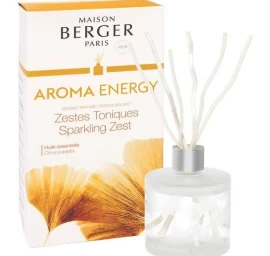Namų kavapas Maison Berger Aroma Energy 180 ml