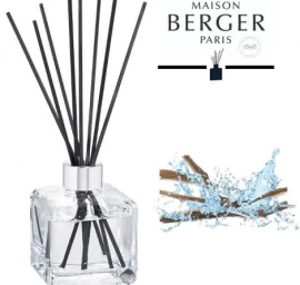 Namų kvapas Maison Berger Aquatic Wood 125 ml, 6176