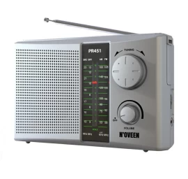 Noveen Radio Pr451