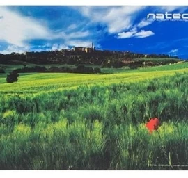 Nuotrauka Italija Pelės Kilimėlis 220x180mm