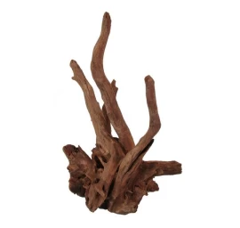 ORBIT Corbo vidutinės šaknys 40-50cm 1vnt, 4284-M