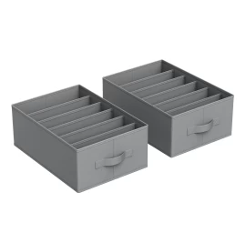 Organizatorius X2 - Rus009g02