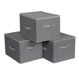Organizatorius X3 - Ryzb03g