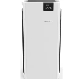 Oro valytuvas Boneco P710