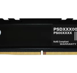 Patriot Atmintis (dimm/ddr5/24 Gb/5600mhz/1.1v/46cl/single)