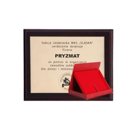 Plastikinis Diplomas Su Graviravimu Laminate + Dėklas 250x200 Mm