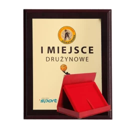 Plastikinis Diplomas Su Spalvotu Lietimui Jautriu Laminatu + Dėklas 275x220 Mm